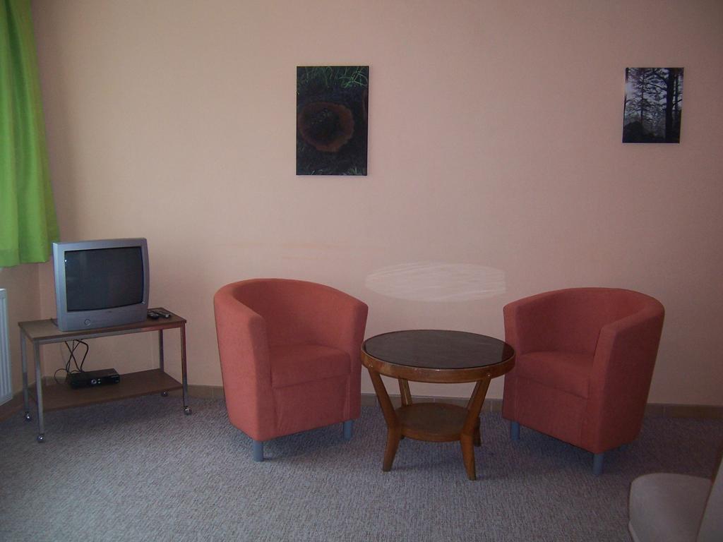 Penzion Certovy Kameny Jeseník Room photo