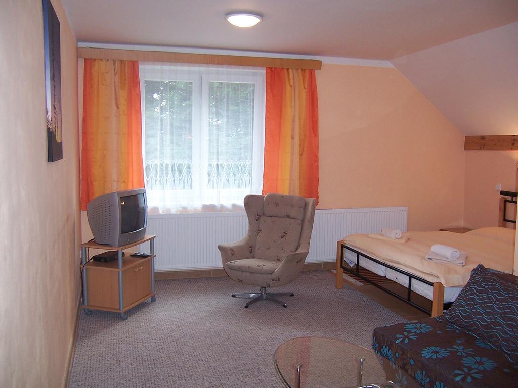 Penzion Certovy Kameny Jeseník Room photo